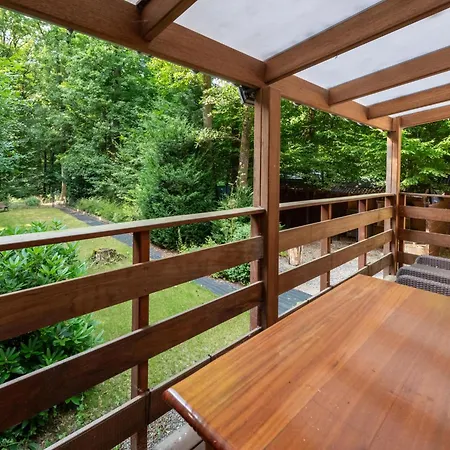 シャレー Loree Biron